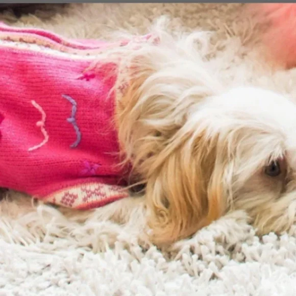 Embroidery Peruvian dog cardigan S/M - Picture 1 of 7